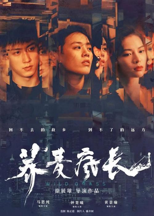 古驰圆形包包多少钱